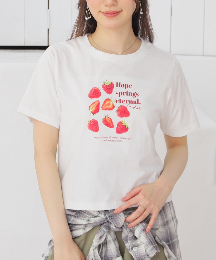 �t���[�c�v�����g�s�V���c